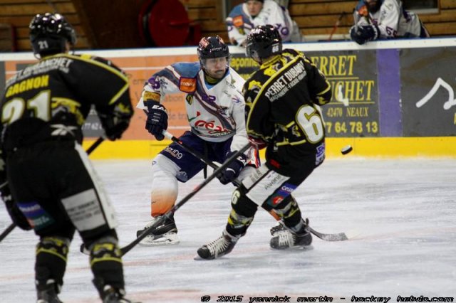 Photo hockey match Roanne - Clermont-Ferrand le 24/01/2015