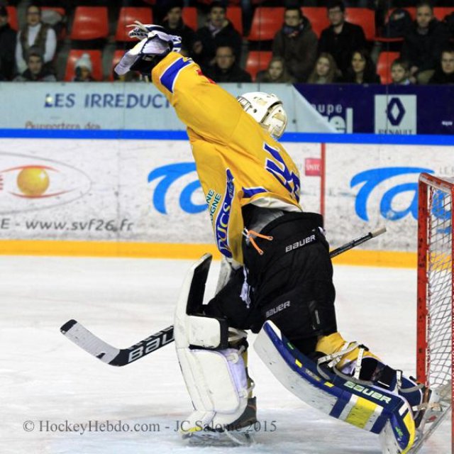 Photo hockey match Grenoble  - Dijon  le 31/01/2015