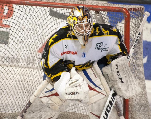 Photo hockey match Villard-de-Lans - Roanne le 07/02/2015