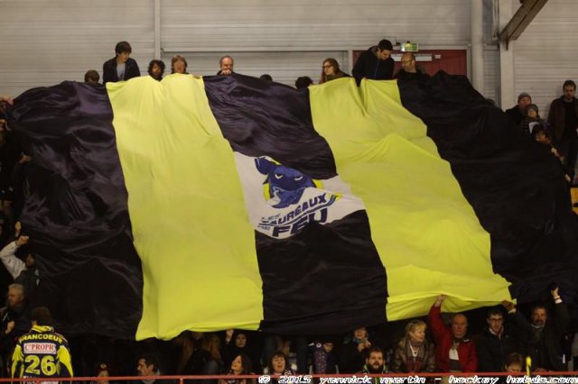Photo hockey match Limoges - Clermont-Ferrand le 21/02/2015