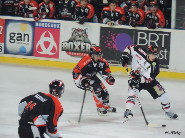 Photo hockey match Bordeaux - Mulhouse le 24/02/2015