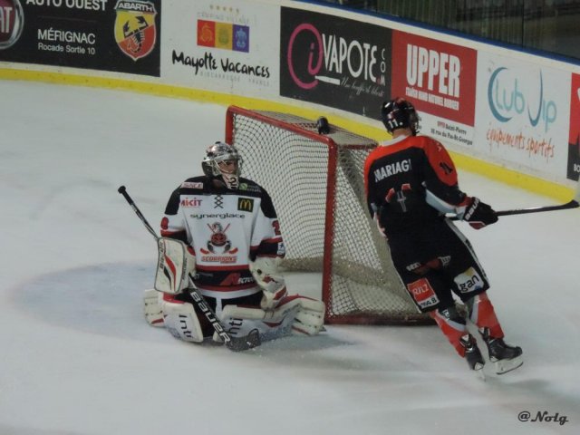 Photo hockey match Bordeaux - Mulhouse le 24/02/2015