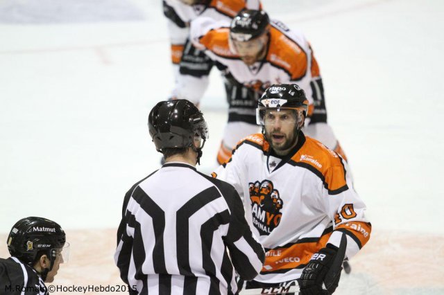 Photo hockey match Rouen - Epinal  le 28/02/2015