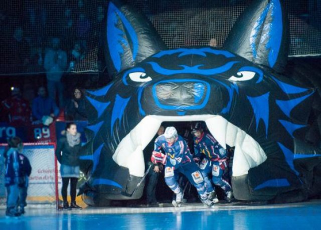Photo hockey match Grenoble  - Dijon  le 07/03/2015