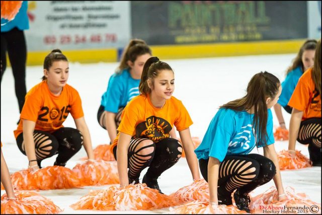 Photo hockey match Epinal  - Angers  le 14/03/2015