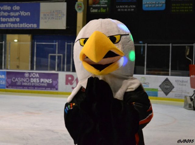 Photo hockey match La Roche-sur-Yon - Annecy le 14/03/2015