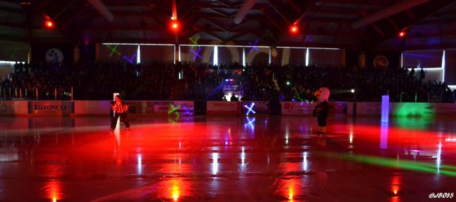 Photo hockey match La Roche-sur-Yon - Annecy le 14/03/2015
