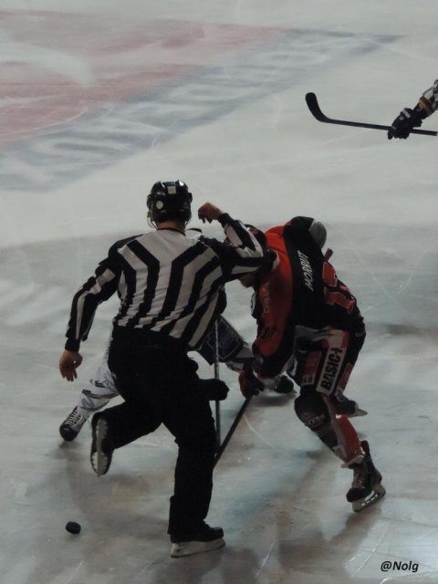Photo hockey match Bordeaux - Reims le 21/03/2015