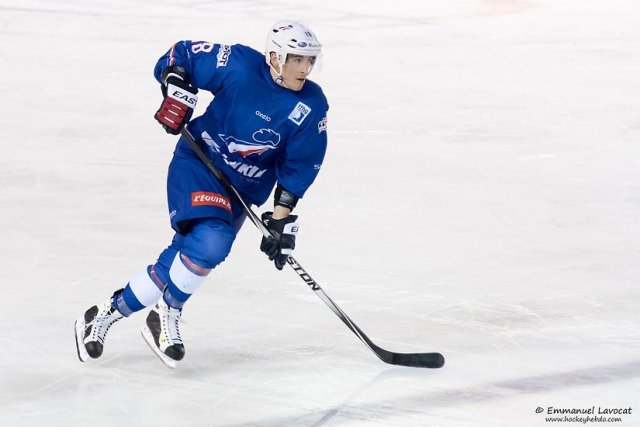 Photo hockey match France - Switzerland le 26/04/2015