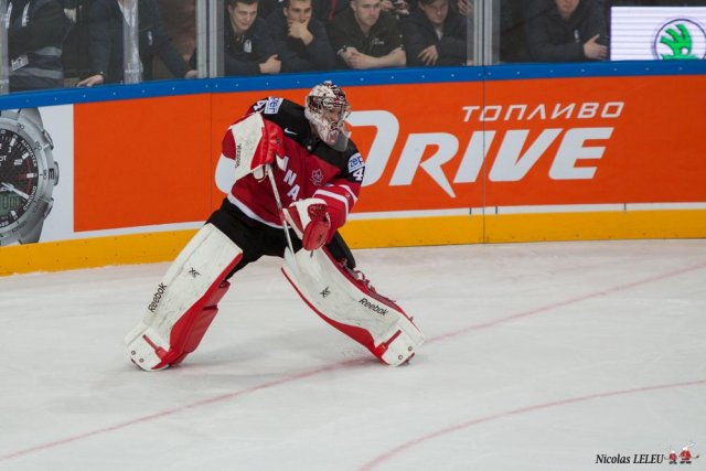 Photo hockey match Czech Republic - Canada le 04/05/2015