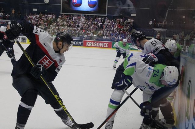 Photo hockey match Slovakia - Slovenia le 05/05/2015