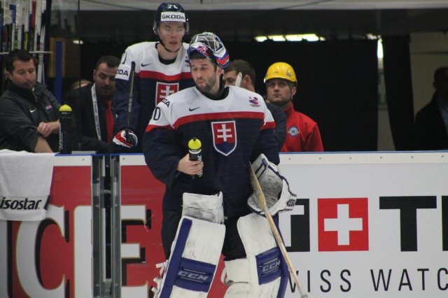 Photo hockey match Slovakia - Slovenia le 05/05/2015