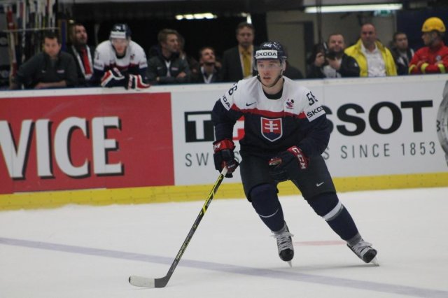 Photo hockey match Slovakia - Slovenia le 05/05/2015