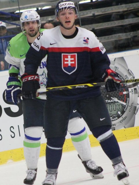 Photo hockey match Slovakia - Slovenia le 05/05/2015