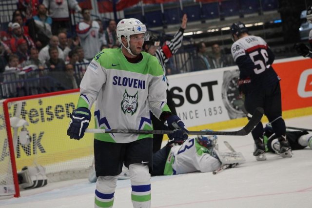 Photo hockey match Slovakia - Slovenia le 05/05/2015