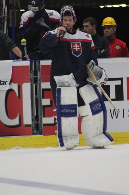 Photo hockey match Slovakia - Slovenia le 05/05/2015