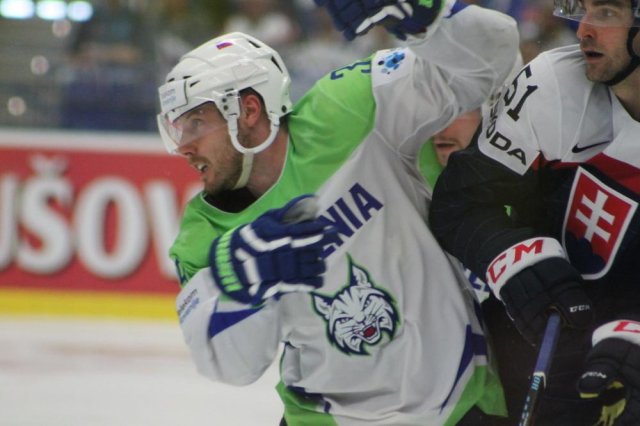 Photo hockey match Slovakia - Slovenia le 05/05/2015