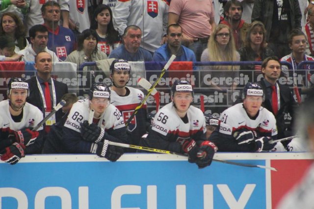 Photo hockey match Slovakia - Slovenia le 05/05/2015