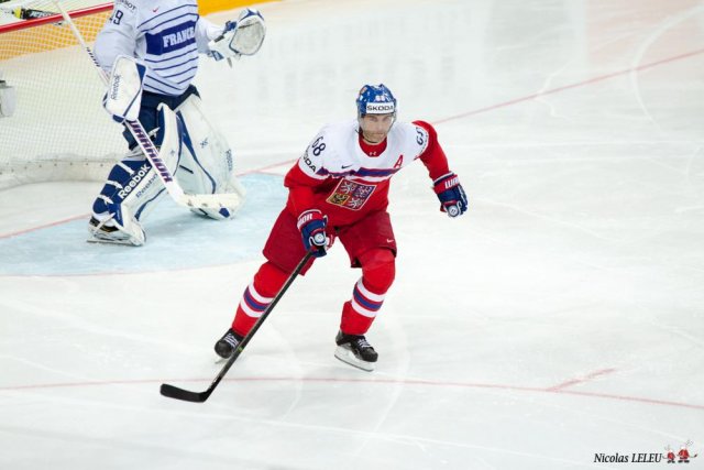 Photo hockey match Czech Republic - France le 07/05/2015
