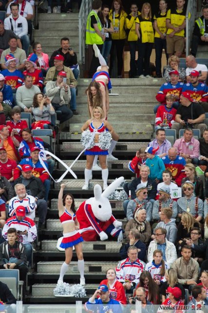 Photo hockey match United States of America - Czech Republic le 17/05/2015