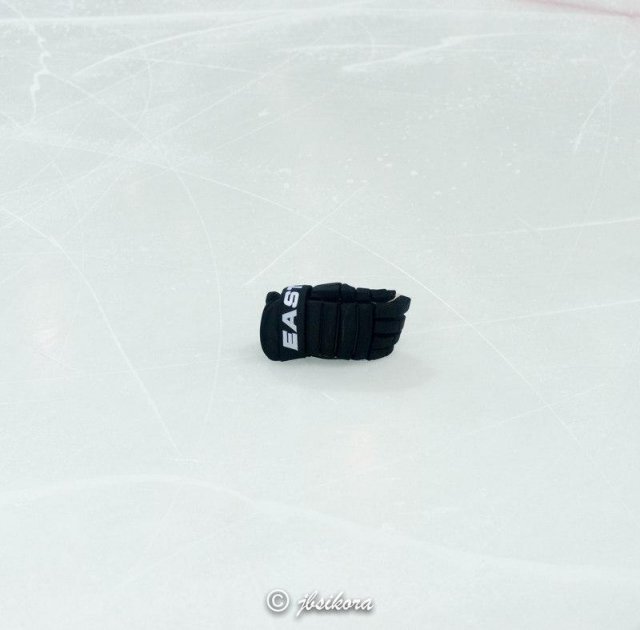 Photo hockey match Gap  - Strasbourg  le 03/10/2015