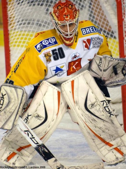 Photo hockey match Grenoble  - Strasbourg  le 13/01/2009