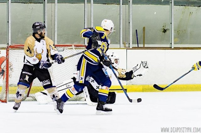 Photo hockey match Evry / Viry - Dammarie-les-Lys le 13/10/2015