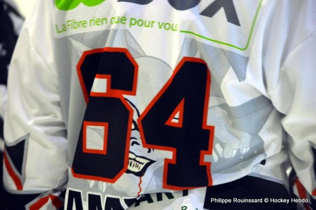 Photo hockey match Dijon  - Amiens  le 17/11/2015