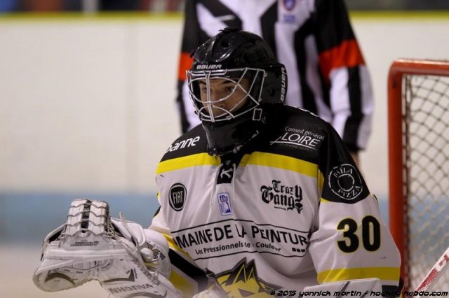 Photo hockey match Clermont-Ferrand - Roanne le 05/12/2015