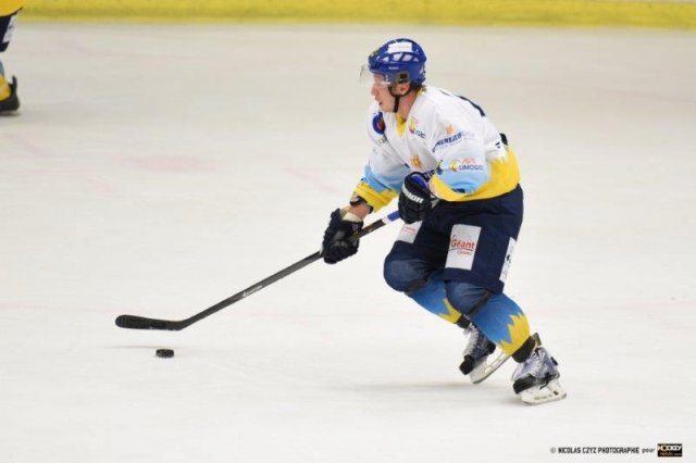 Photo hockey match Wasquehal Lille - Limoges le 05/12/2015