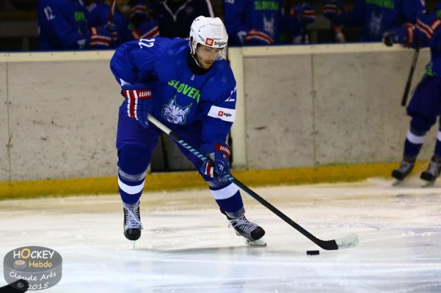 Photo hockey match Slovenia - France U20 le 13/12/2015