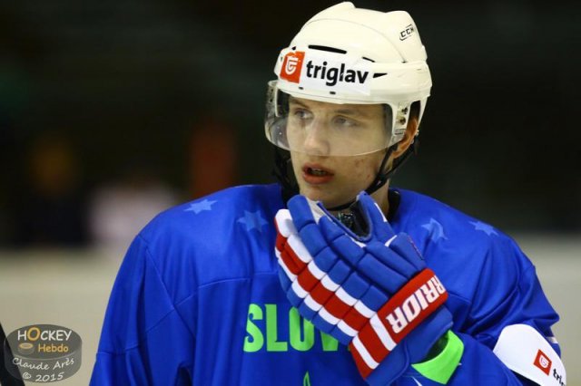 Photo hockey match Slovenia - France U20 le 13/12/2015