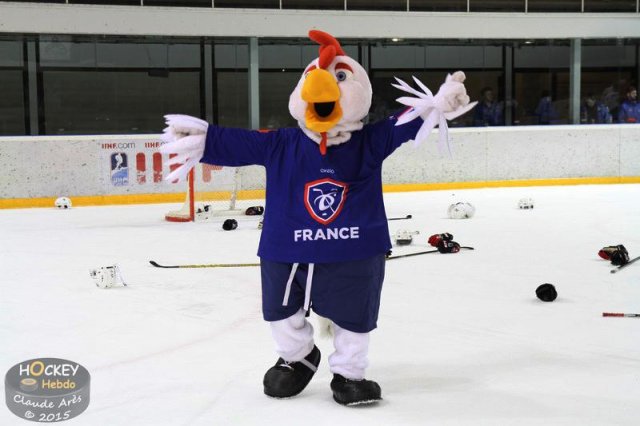 Photo hockey match Poland - France U20 le 18/12/2015