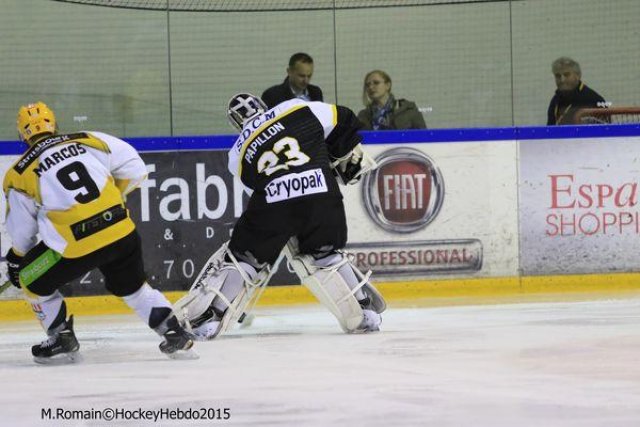 Photo hockey match Rouen - Strasbourg  le 05/01/2016