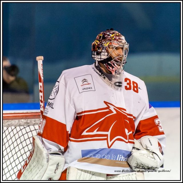 Photo hockey match Paris (FV) - Valence le 09/01/2016