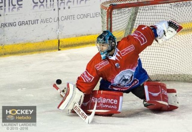Photo hockey match Lyon - Dijon  le 12/01/2016