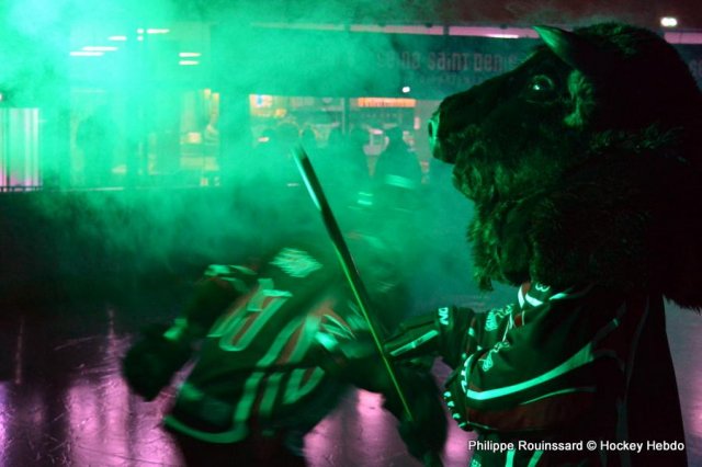 Photo hockey match Neuilly/Marne - La Roche-sur-Yon le 16/01/2016