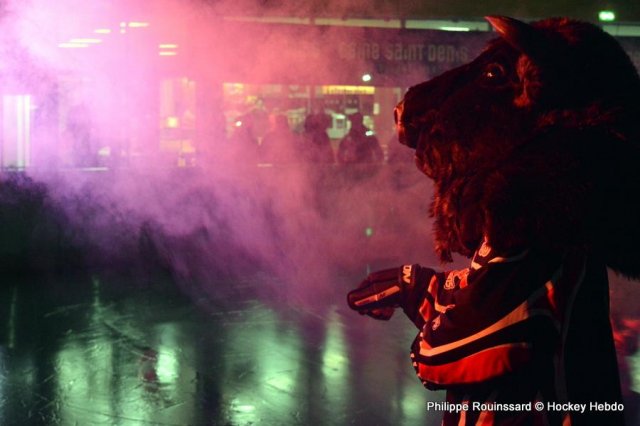 Photo hockey match Neuilly/Marne - La Roche-sur-Yon le 16/01/2016