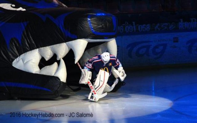 Photo hockey match Grenoble  - Angers  le 29/01/2016