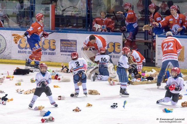 Photo hockey match Lyon - Brest  le 29/01/2016