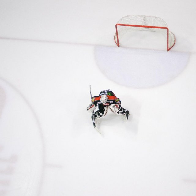 Photo hockey match Amiens  - Grenoble  le 31/01/2016