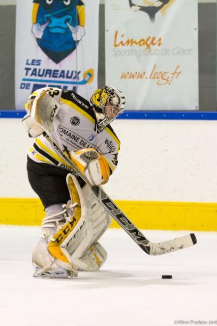 Photo hockey match Limoges - Roanne le 20/02/2016