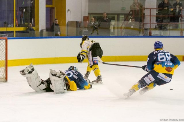 Photo hockey match Limoges - Roanne le 20/02/2016