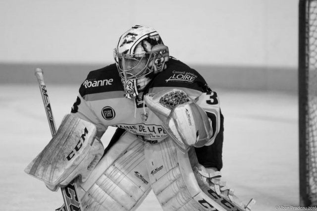 Photo hockey match Limoges - Roanne le 20/02/2016