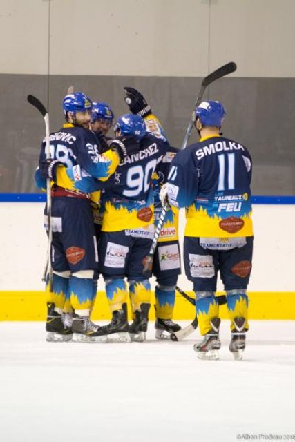 Photo hockey match Limoges - Roanne le 20/02/2016