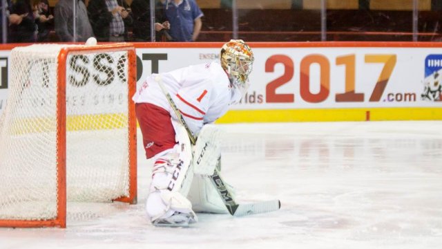 Photo hockey match France - Denmark le 15/04/2016