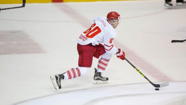 Photo hockey match France - Denmark le 15/04/2016