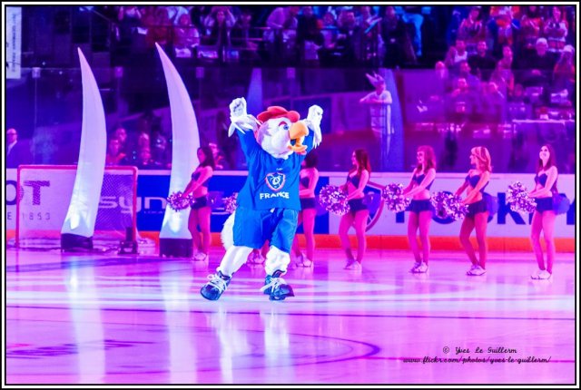 Photo hockey reportage Reportage photos : France VS Danemark vu par Yves Le Guillerm