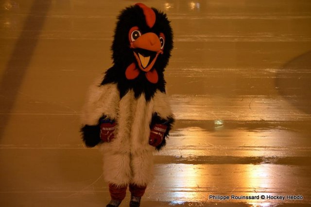 Photo hockey reportage U11 : Tournoi des Coqs premier jour