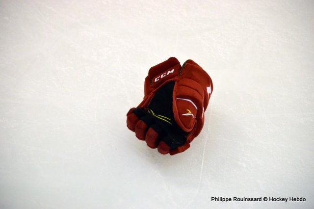 Photo hockey reportage Les Bisonnes remportent la Coupe de France